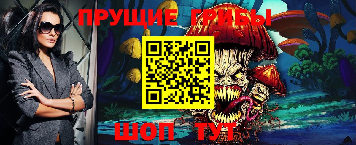 Чайковский  Галлюциногенные грибы Psilocybe  Вход с VPN 